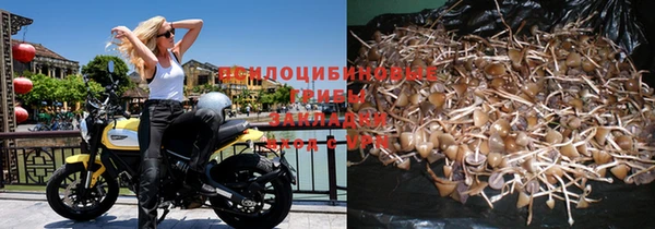 спиды Зеленодольск
