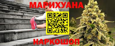 МДПВ Новозыбков