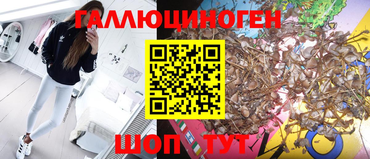 Псилоцибиновые грибы ЛСД  Вход с VPN  Тутаев 